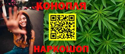 индика Усть-Илимск