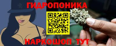 индика Уссурийск