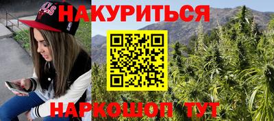 индика Усть-Илимск