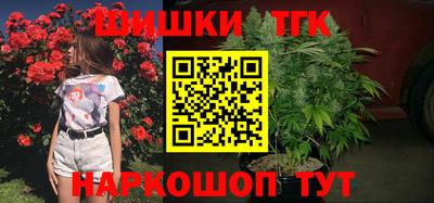 индика Усть-Илимск