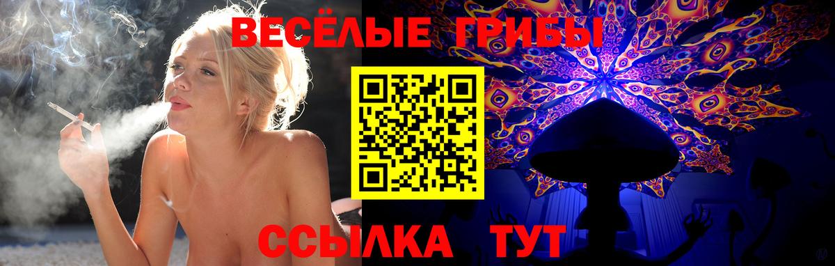 Псилоцибиновые грибы Psilocybe  Галлюциногенные грибы прущие грибы  Вход с VPN  Борзя 